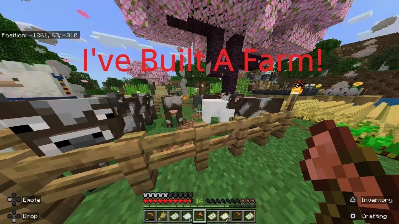 I've Built A Farm In Minecraft