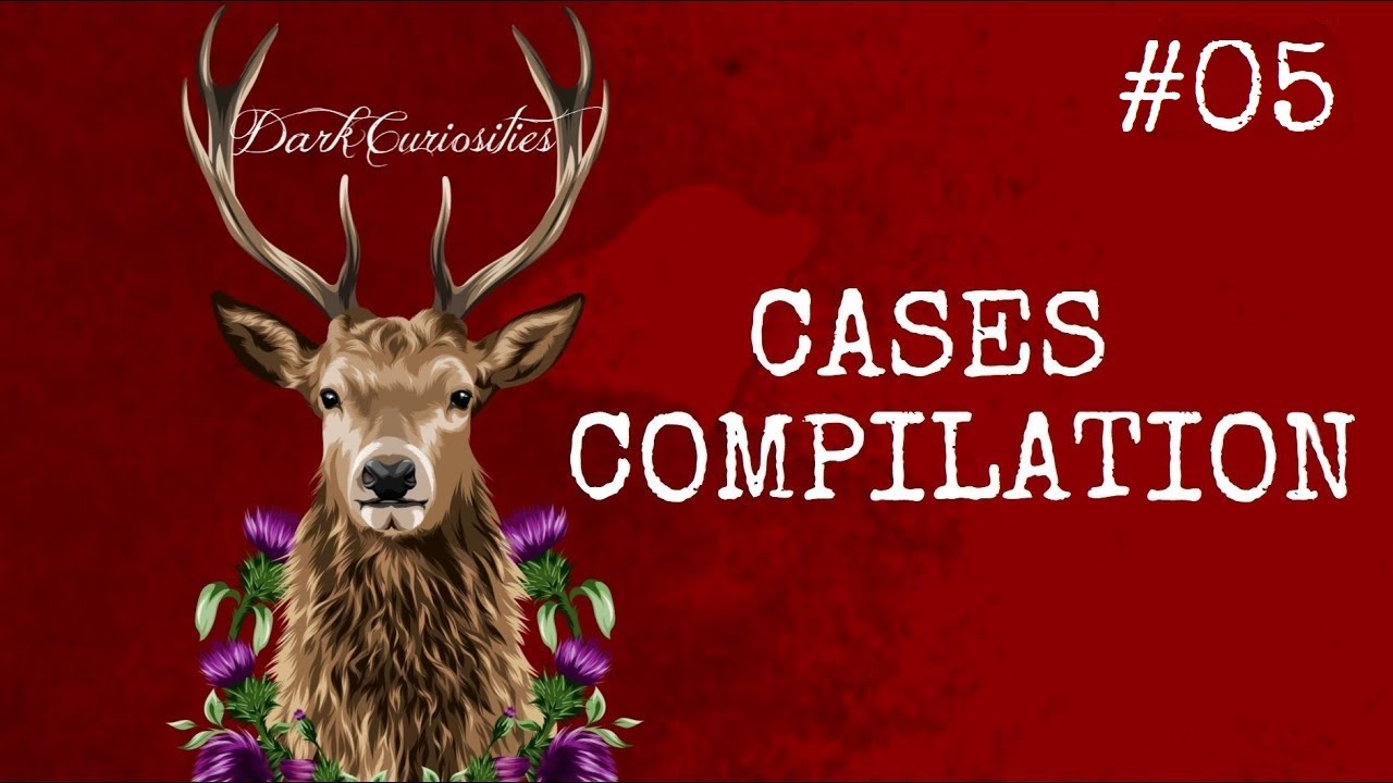 Cases Compilation #05