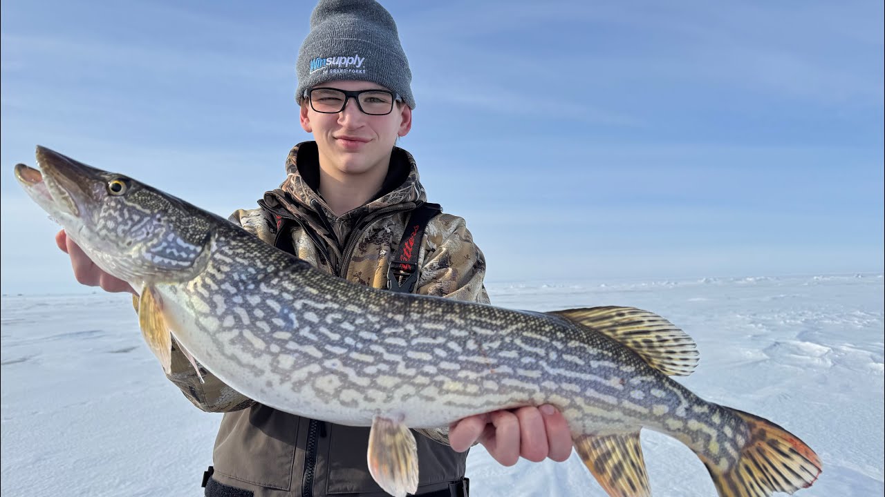 Ice Fishing On Lake Of The Woods! (35 Fish Day)