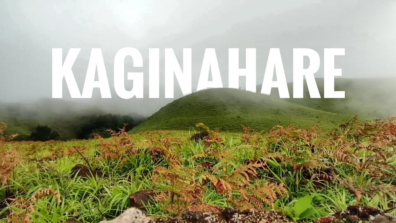 NATURE VIDEO -KAGINAHARE  - SAKLESHPUR - WESTERN GHATS-KARNATAKA- INDIA