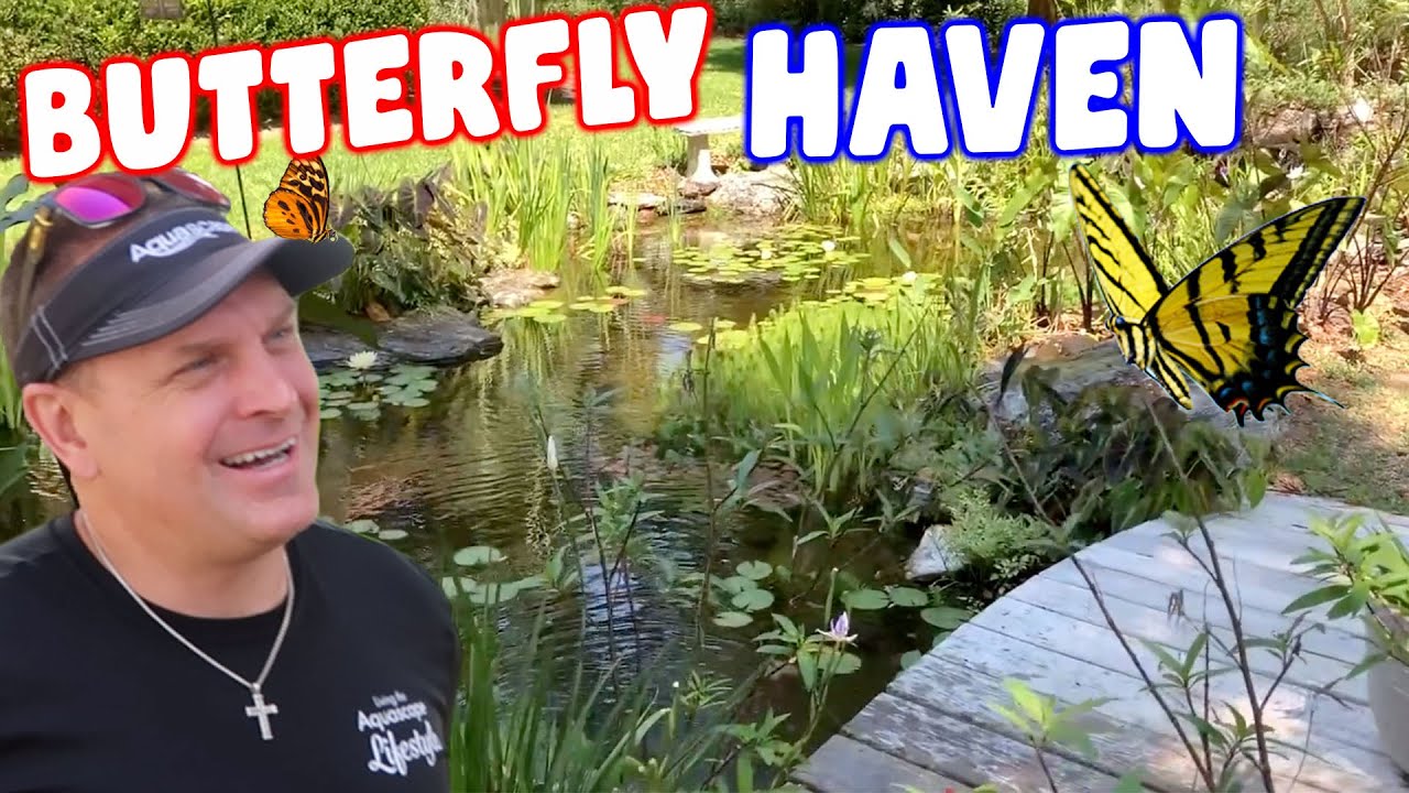 *GARDEN POND* with Butterfly Habitat