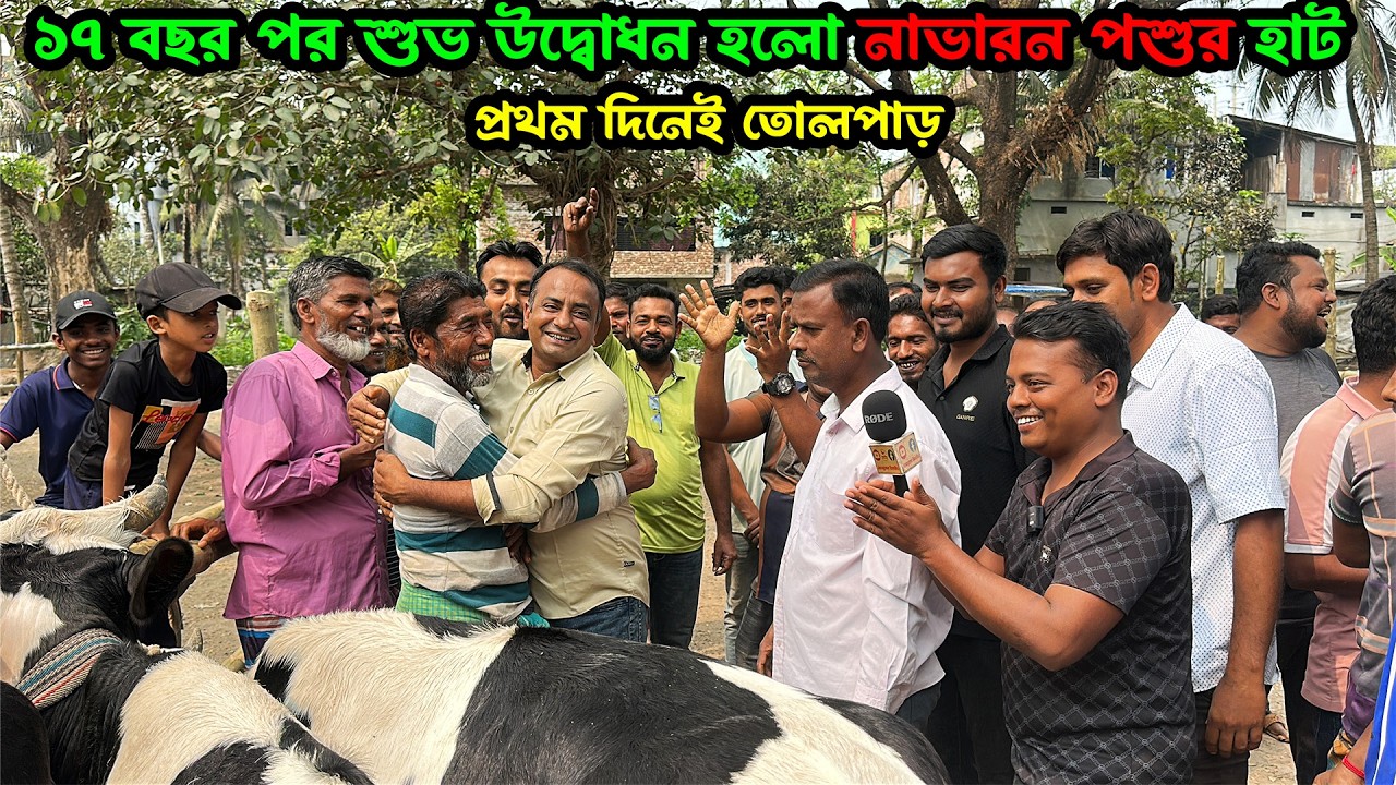 ১৭ বছর পর খুললো নাভারন পশুর হাট 😱 প্রথম দিনেই বাজিমাত | বাংলাদেশে সবচেয়ে কম দামে গরু!