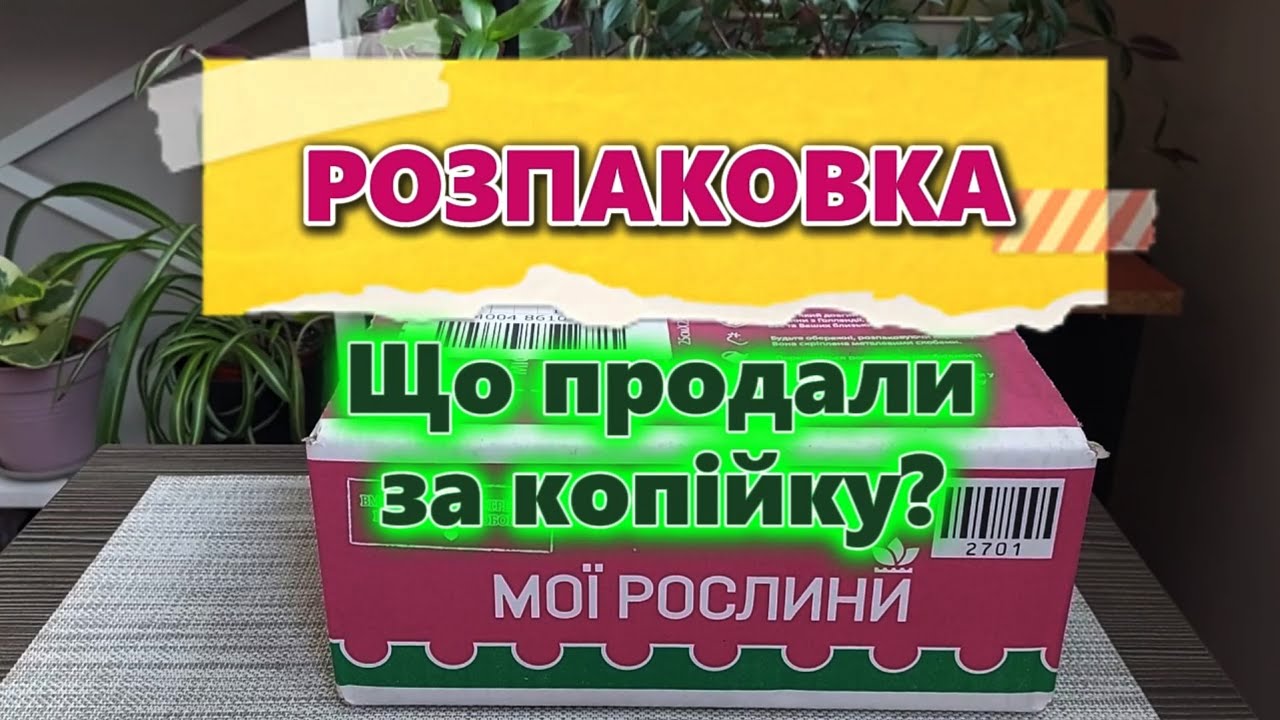 Розпаковка посилки з Флоріума. Акційні рослини зі знижками до 100%. Що прислали.