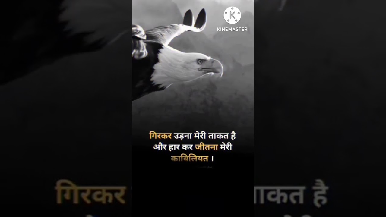 eagle attitude ringtone motivation 🦅