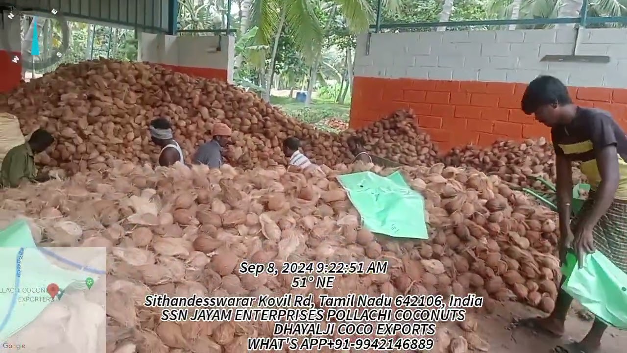 SSN JAYAM ENTERPRISES POLLACHI COCONUT EXPORTS/INDIAN FRESH POLLACHI COCONUT EXPORTS+91-9942146889