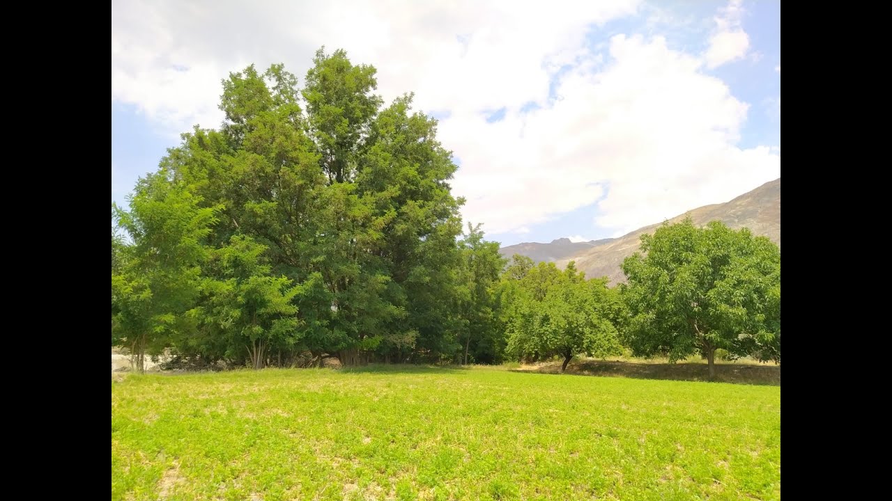 Erzincan Başpınar Köyü Belgeseli ( 2.Bölüm )