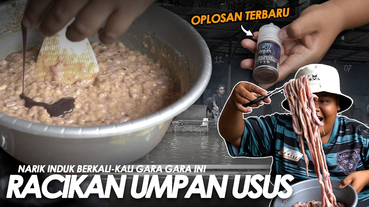 PADAHAL UDAH MIMPIN INDUK DARI PAGI !! GARA GARA RACIKAN USUS AYAM MATI || Am#559