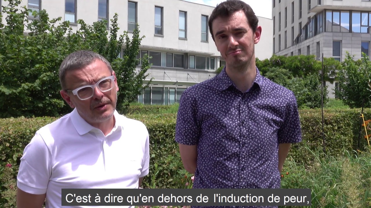 Même pas peur ! Enjeux et et limite des émotions en promotion de la santé