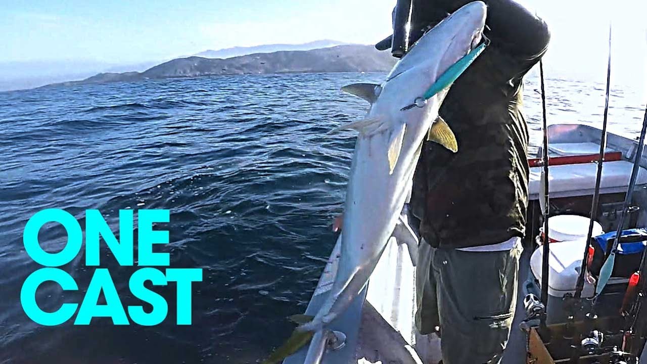Surface Iron Yellowtail  |  Kicker 25L  |  ONE CAST SERIES