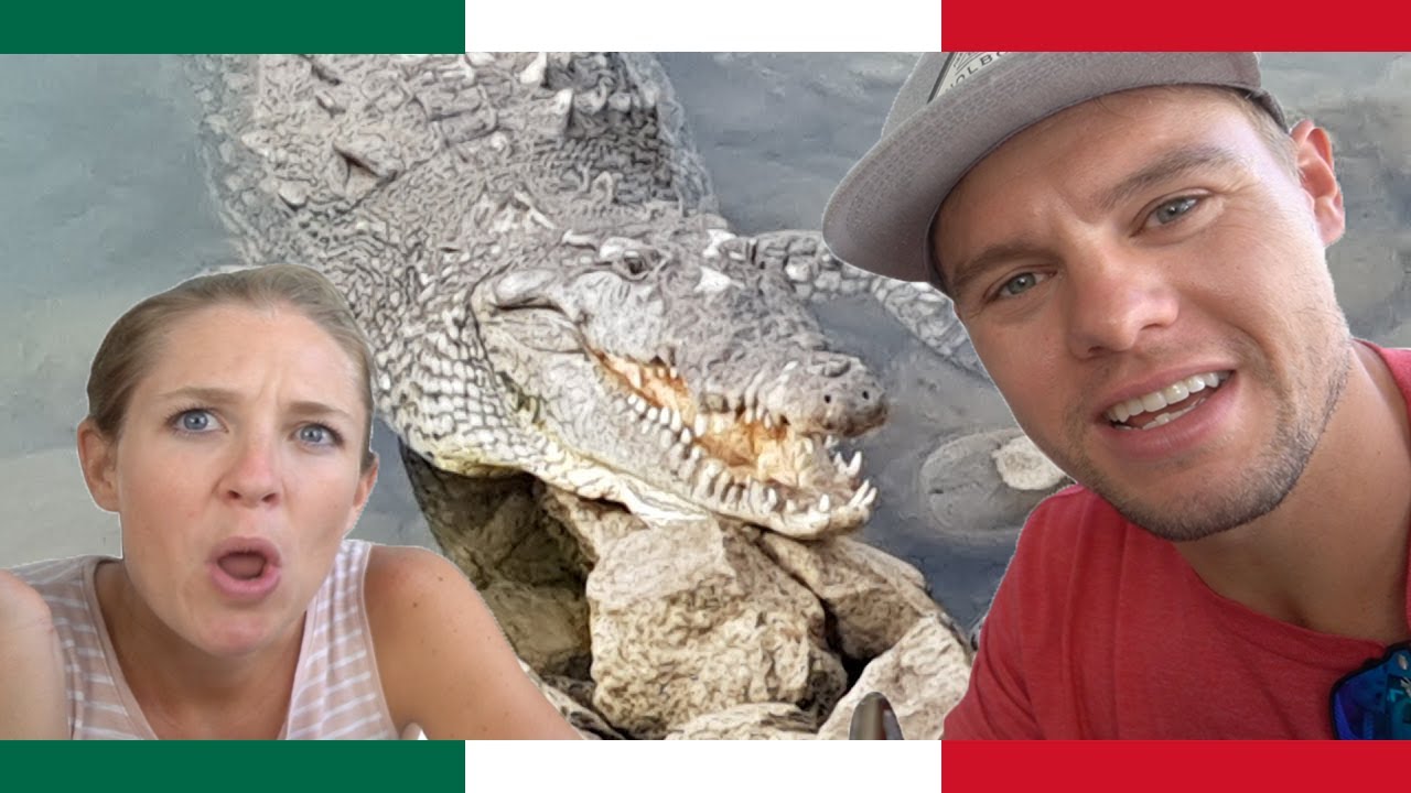 Crocodile Infested Beaches in Puerto Vallarta!?