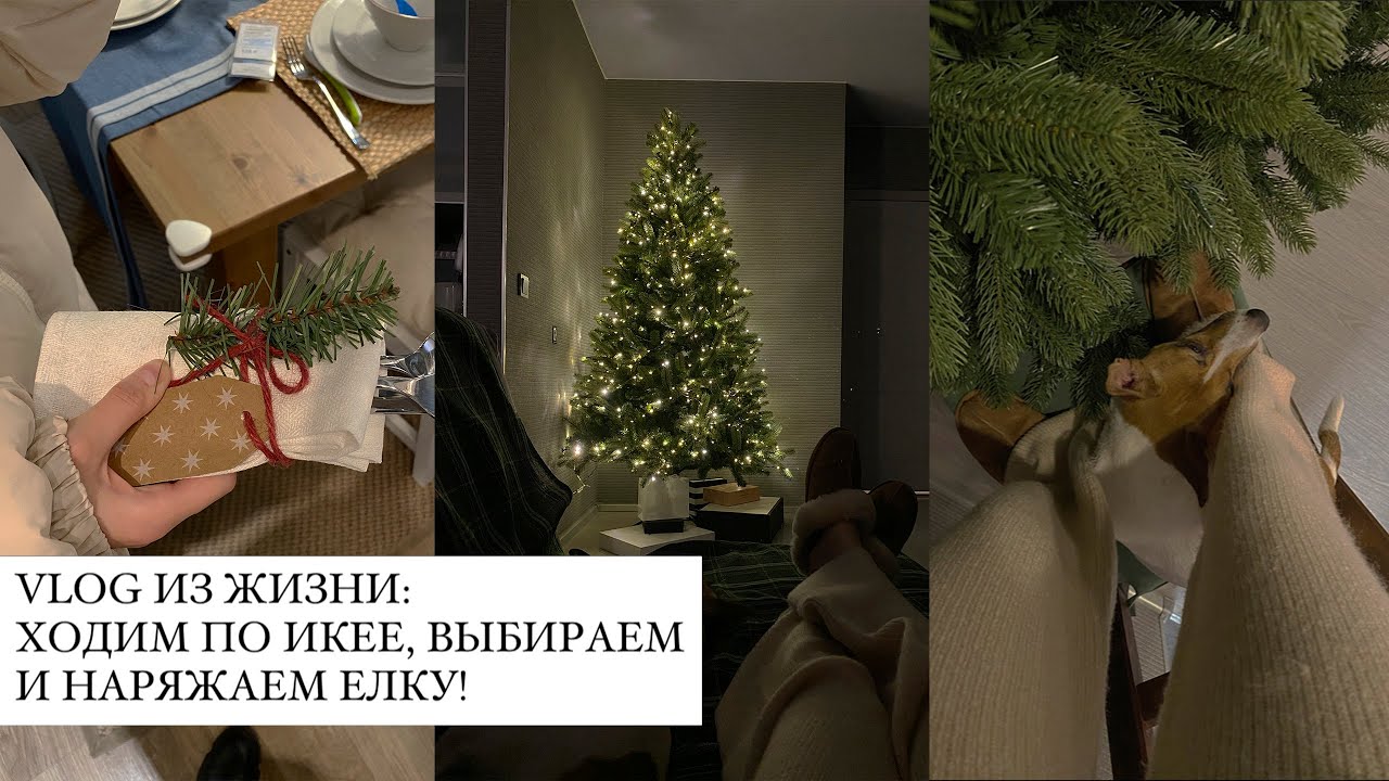 ПОКУПКИ для дома из IKEA, выбираем ЕЛКУ и ищем НОВОГОДНЕЕ НАСТРОЕНИЕ!