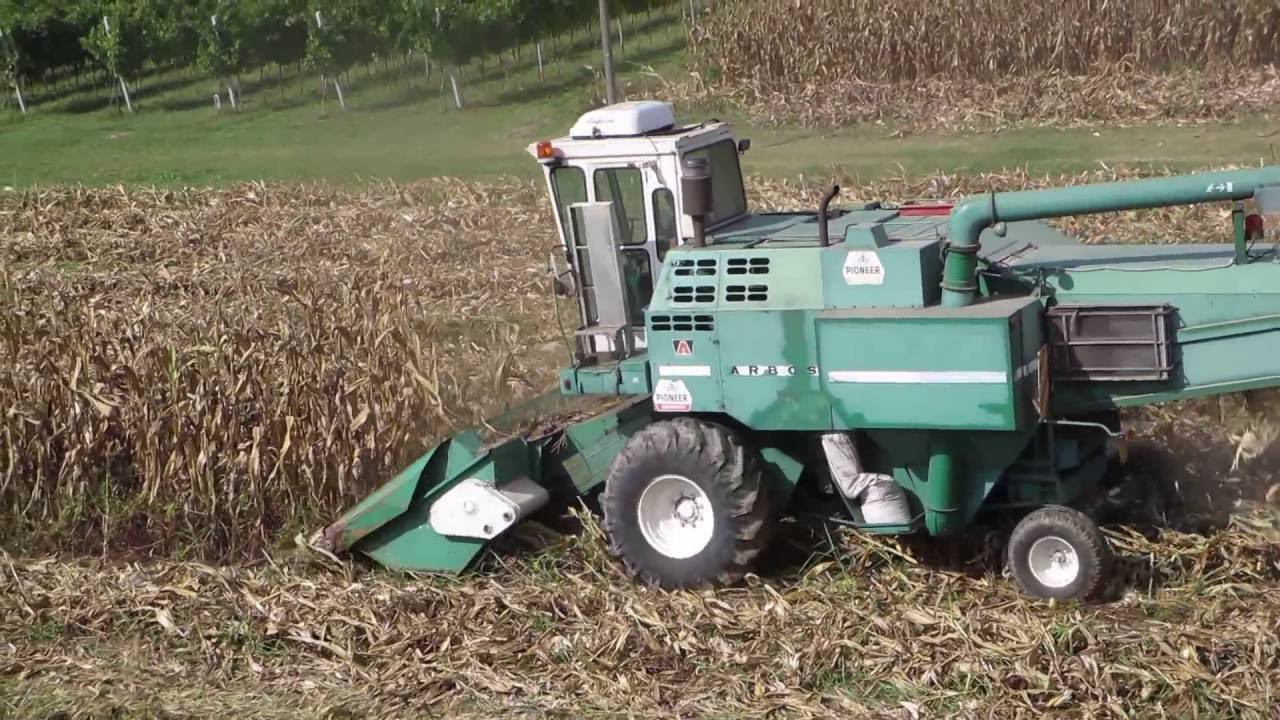 Trebbiatura mais con mietitrebbia ARBOS -Trattore Deutz Fahr