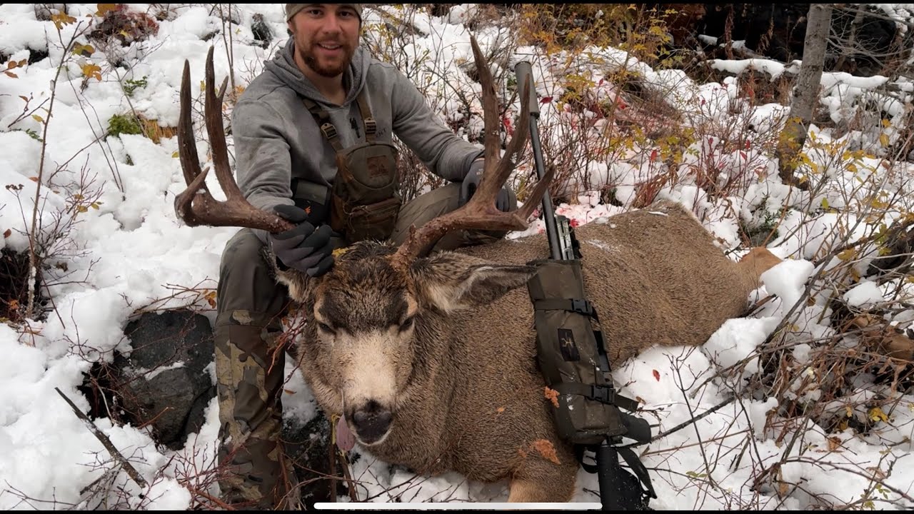 Охота на оленя-мула в одиночку (подъем на гору 31)