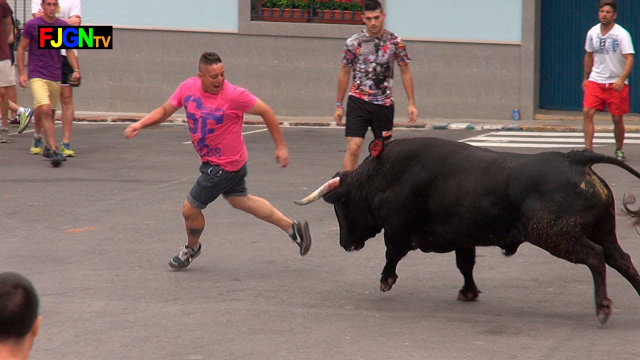 3 Toros Sants de la Pedra 2015 - La Vilavella (Castellon) Bous Al Carrer [Toros FJGNtv]