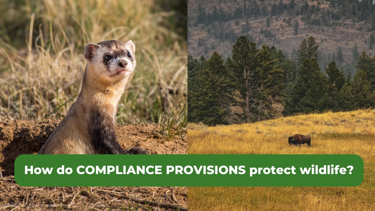 Farm Bill 101: Conservation Compliance Provisions