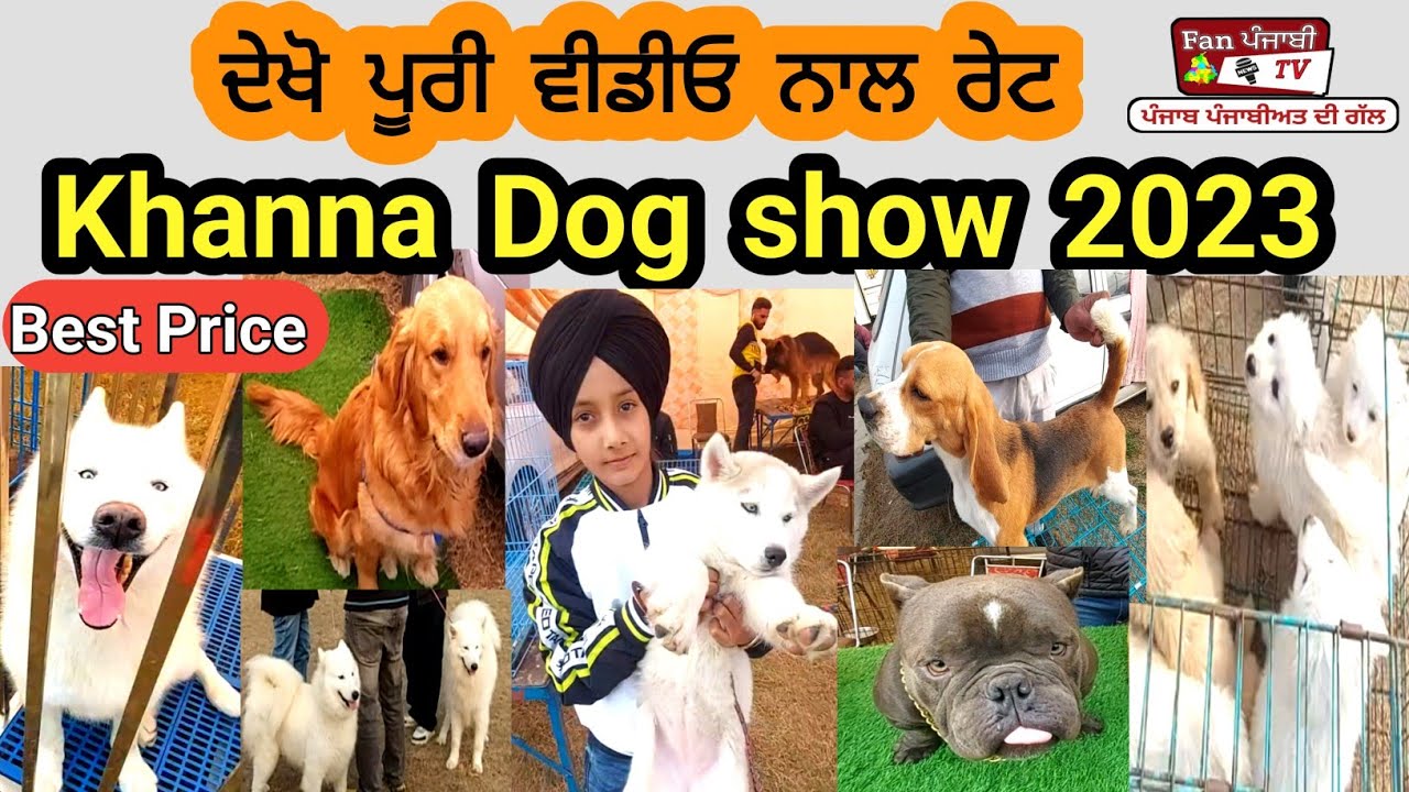 full video, khanna dog show. dog show Khanna 2023. dog show in Punjab.