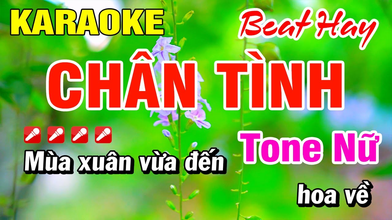 Karaoke Chân Tình Tone Nữ (Beat Chuẩn) Nhạc Sống | Hoài Phong Organ