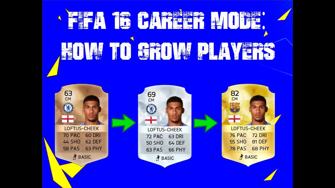 FIFA 16 | How to grow your players in Career Mode