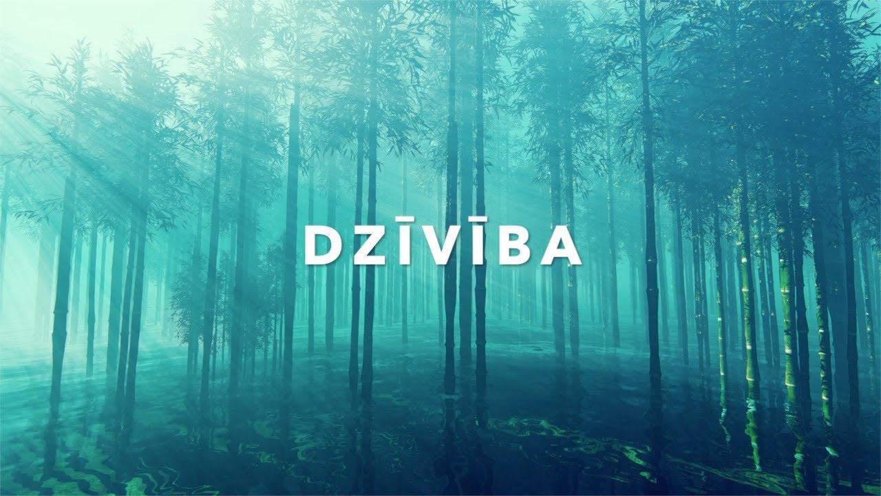 DZĪVĪBA /  Elijs & Nauris Malāhovs