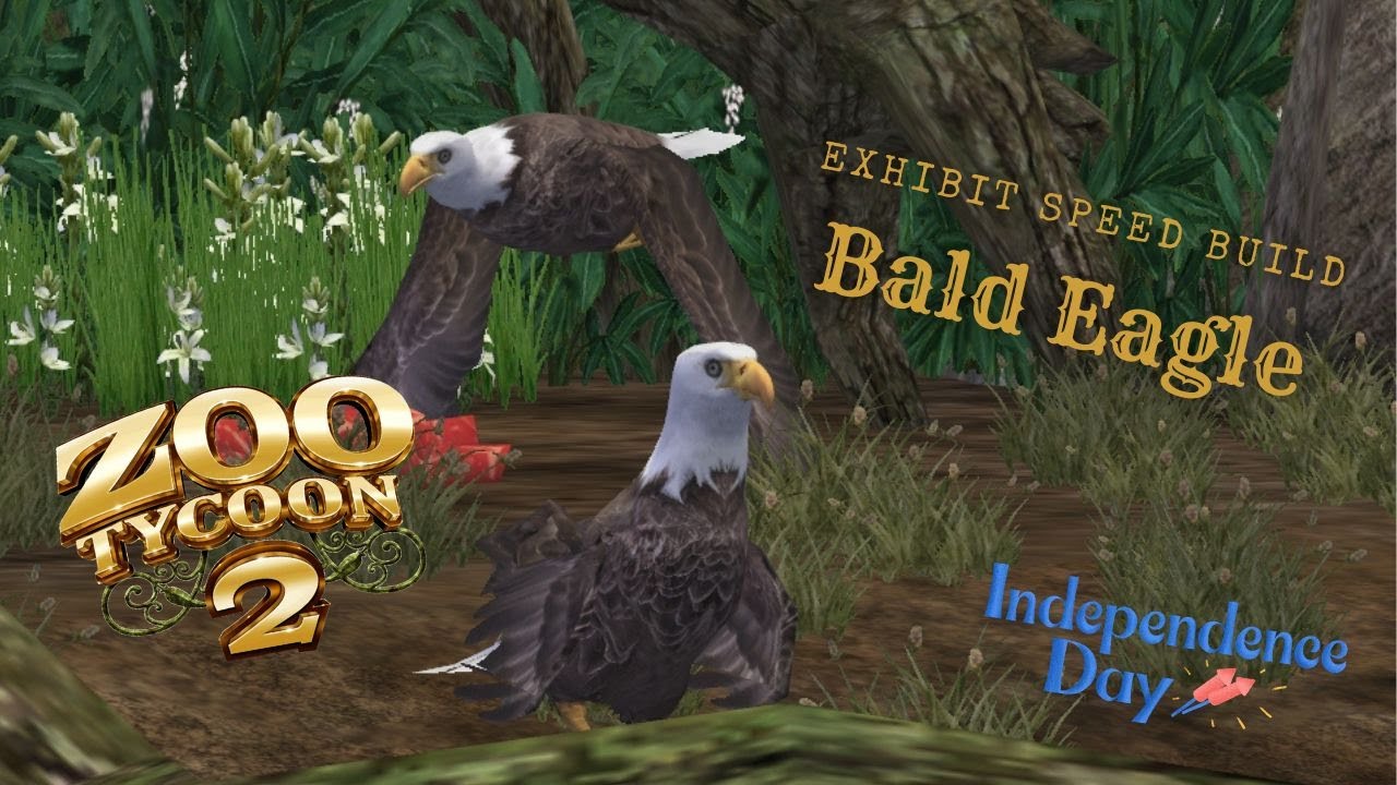 Zoo Tycoon 2: Bald Eagle Exhibit Speed Build (Independence Day)