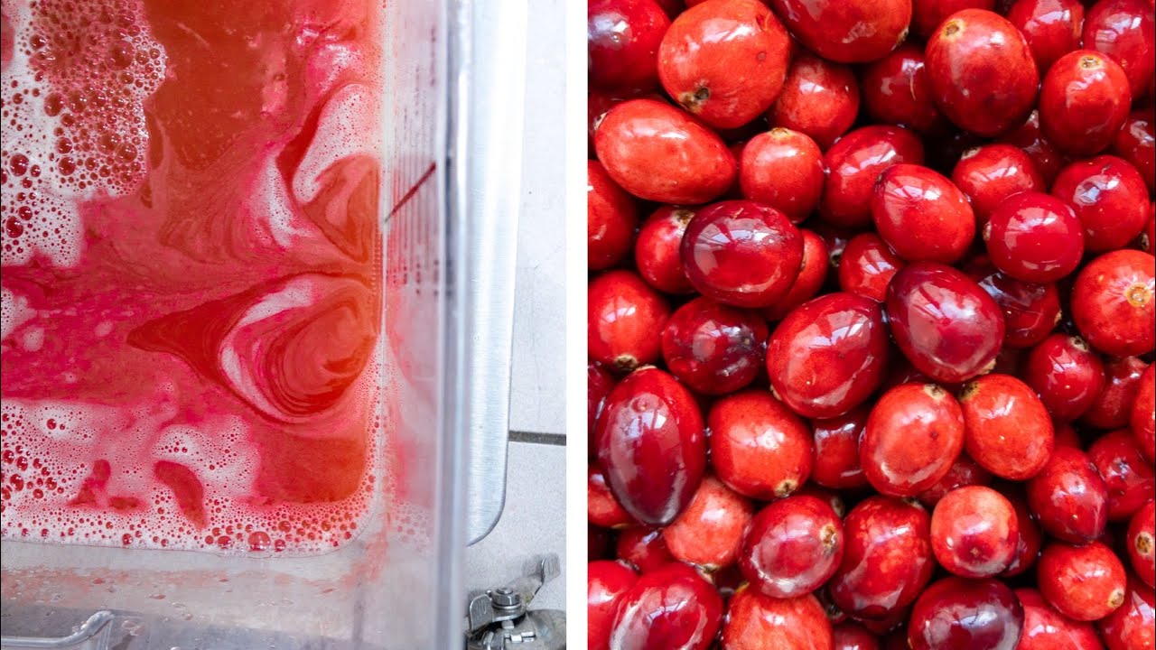 COLD PRESSED CRANBERRY JUICE RECIPE