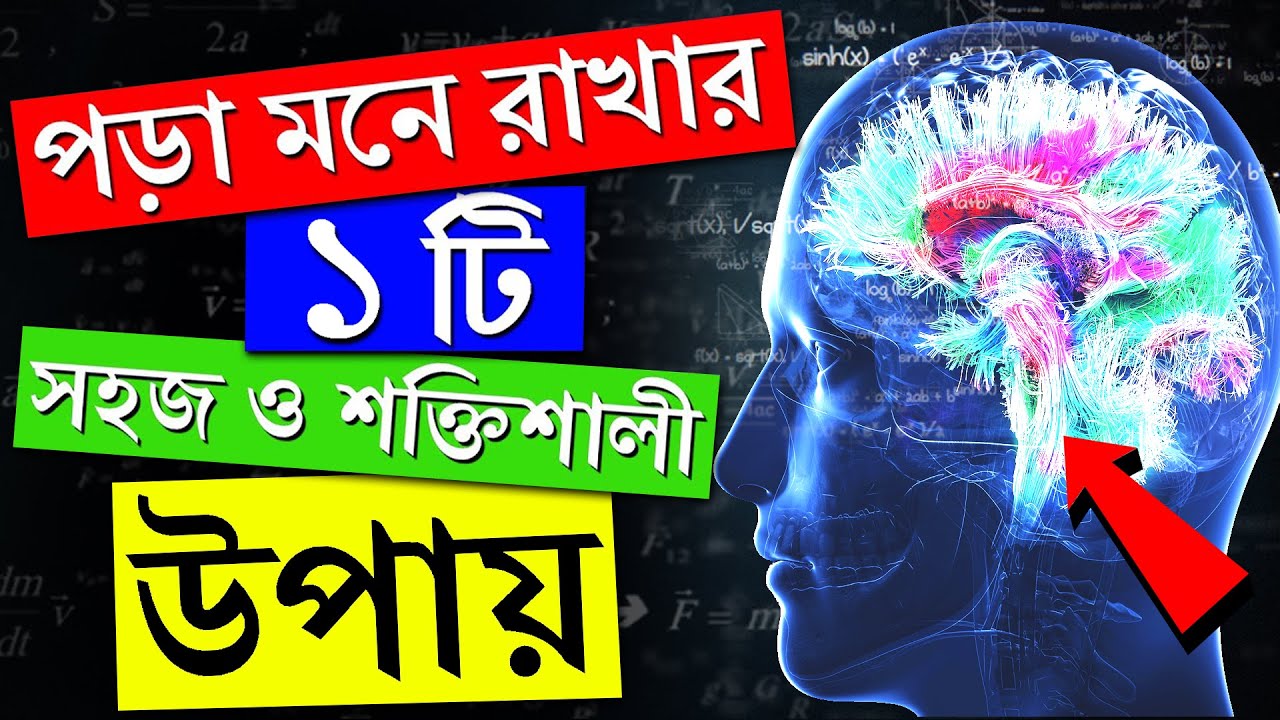 পড়া মনে রাখার সহজ উপায় | Remember What You Read | How to Study Effectively | 1 Secret Study Tips