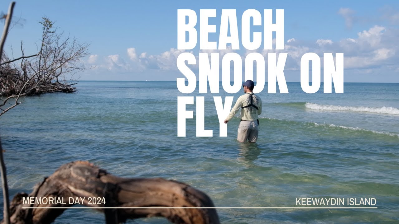 Fly Fishing For Florida Beach Snook