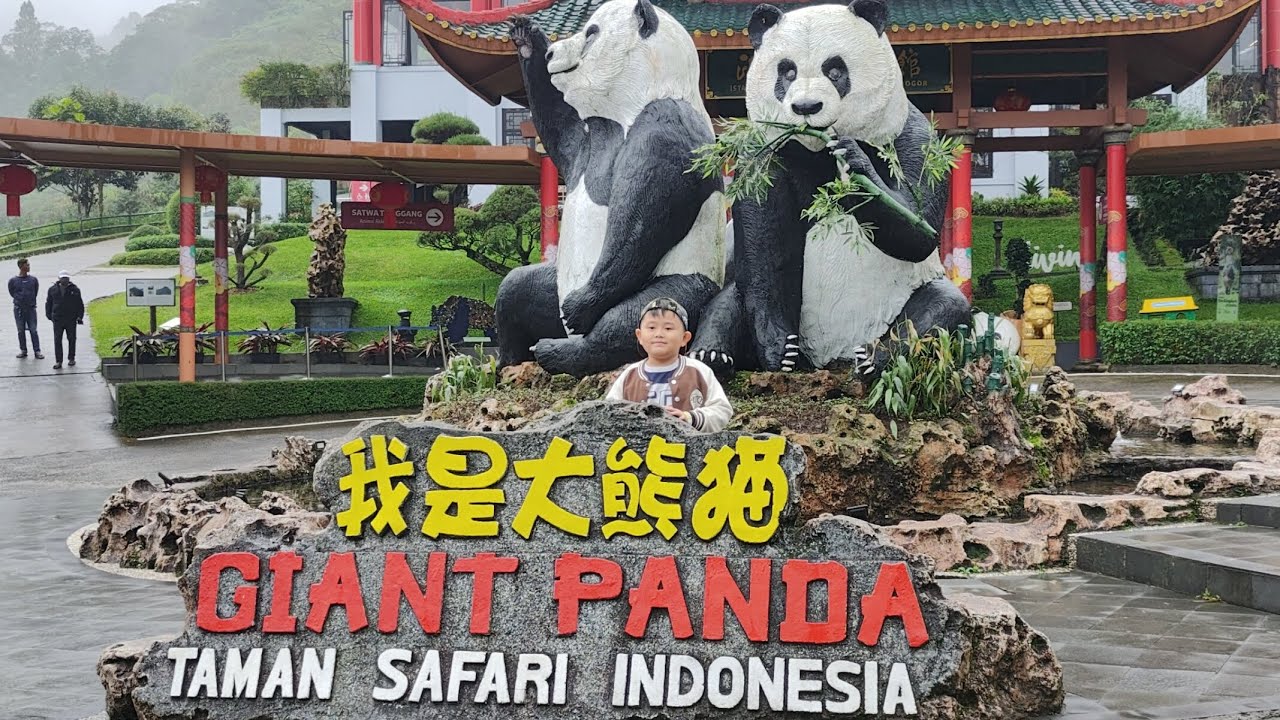 Taman safari 20 Feb 2026 