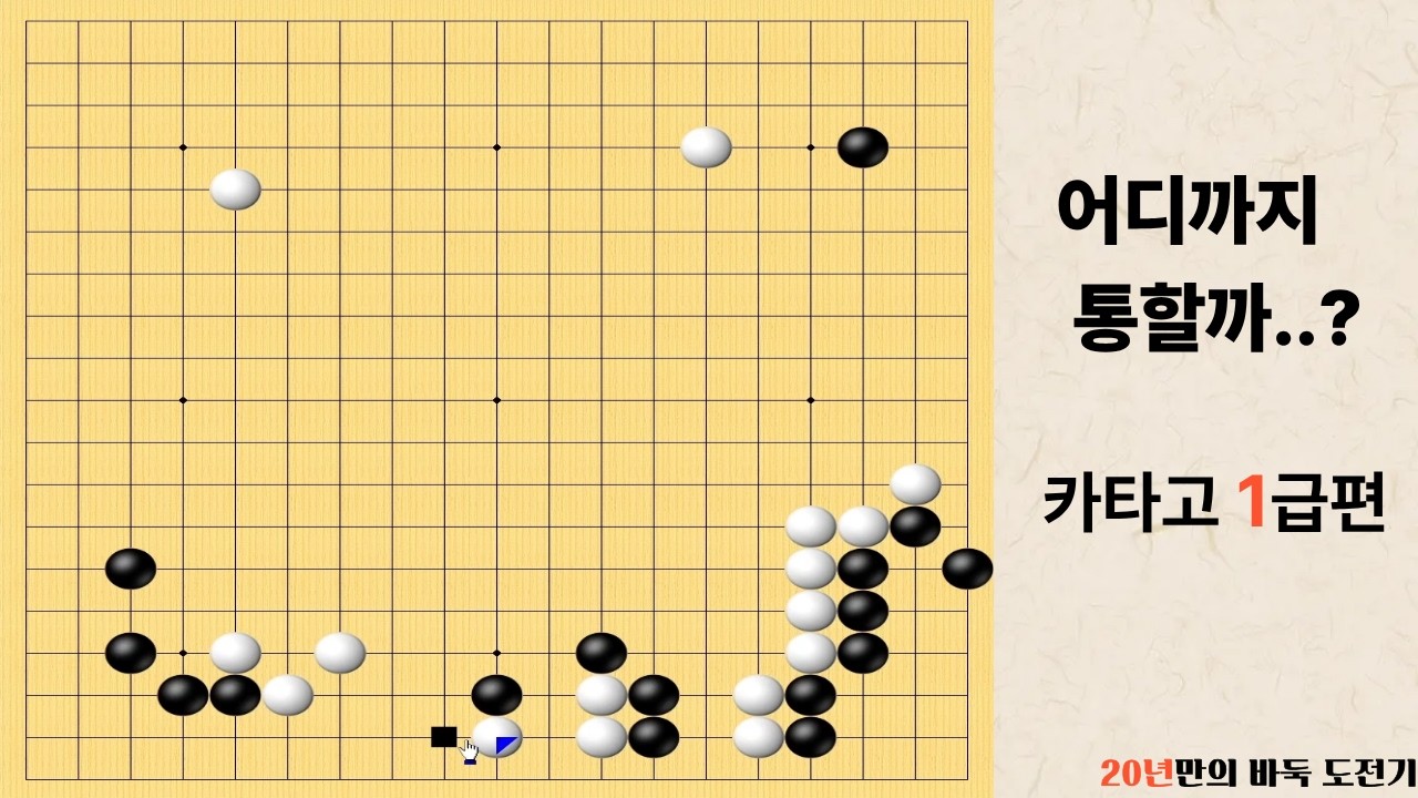20년 쉬고 다시 둔 바둑, 카타고 1급 앞에서는 어디까지 통할까?