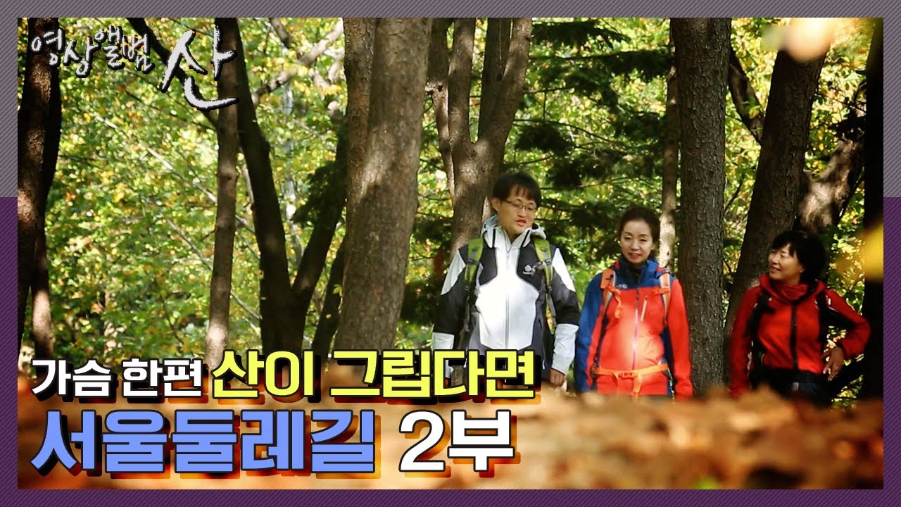 핫한 메타세콰이어 길부터 ~ 난지캠핑장까지 서울의 풍경을 한 번에 맛보는 서울둘레길! [영상앨범 산] “서울둘레길 2부 함께 걷는 길” (KBS 151122 방송)