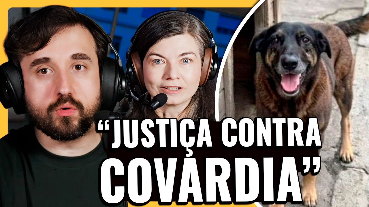 CÃO ORELHA