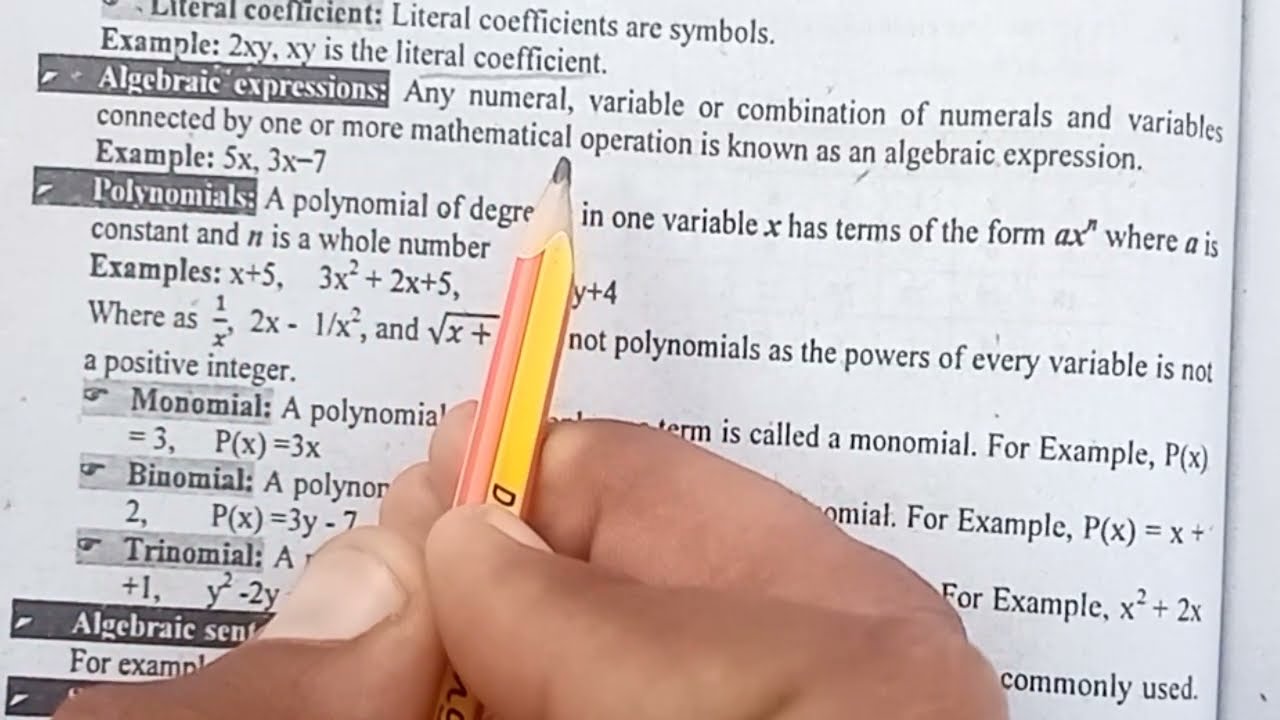 8th Class Maths | Basic Algebraic Terms Explained Easily | Introduction to Algebra  @htnmathsacademe