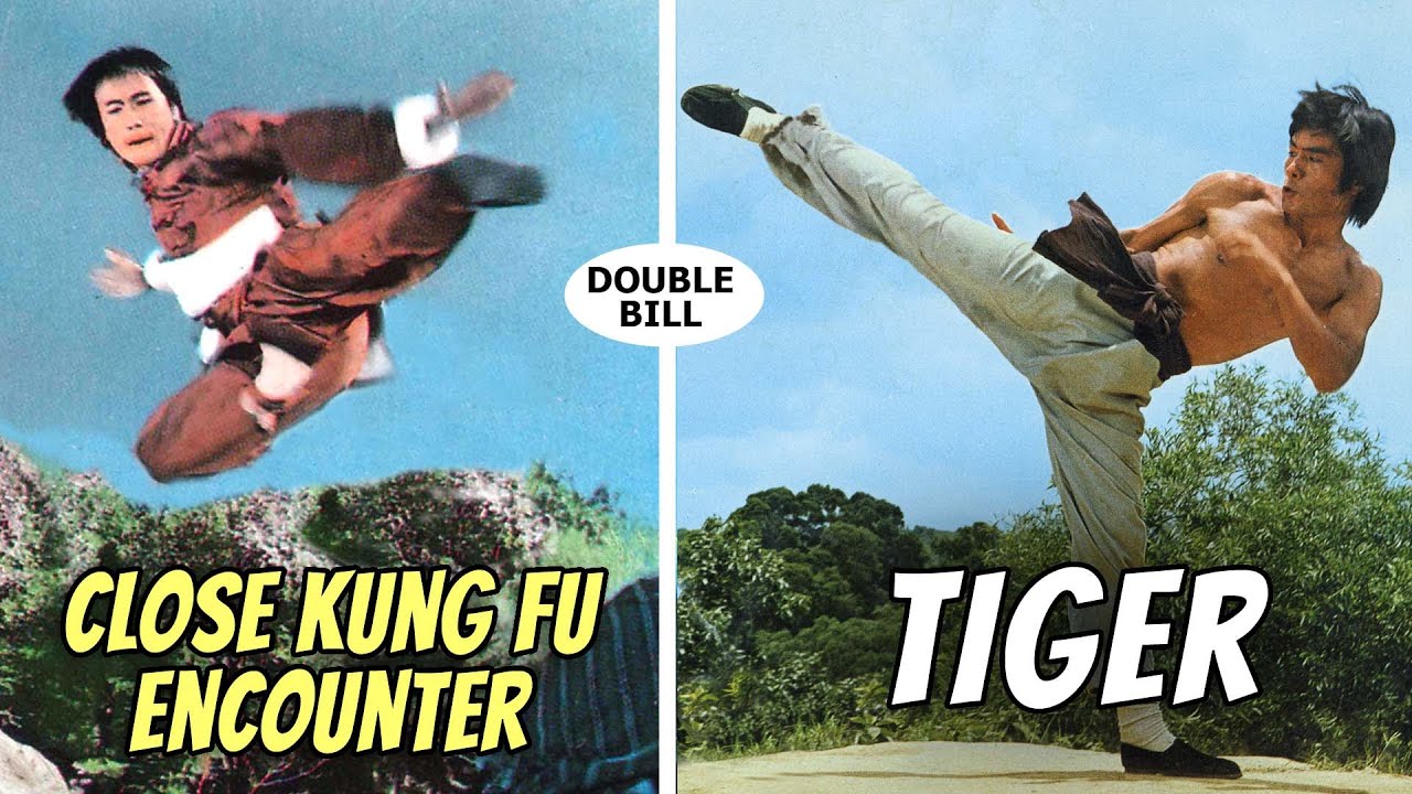 Wu Tang Collection - Close Kung Fu Encounter - Tiger