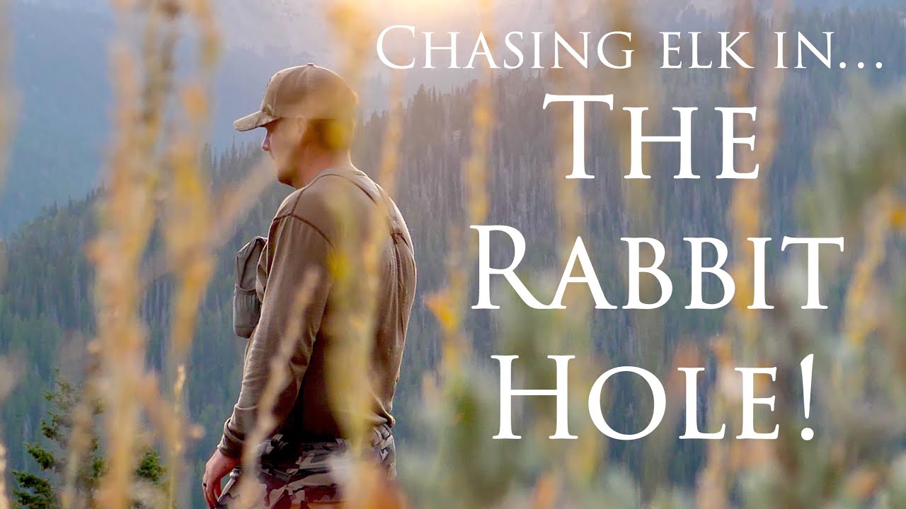 THE RABBIT HOLE - Archery Elk Hunting Public Land
