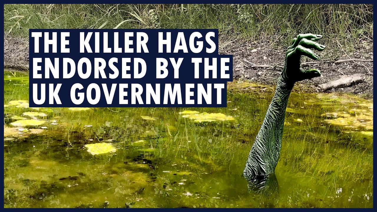 Who are Jenny Greenteeth, Nelly Longarms and Peg Powler? | WATER HAG FOLKLORE 