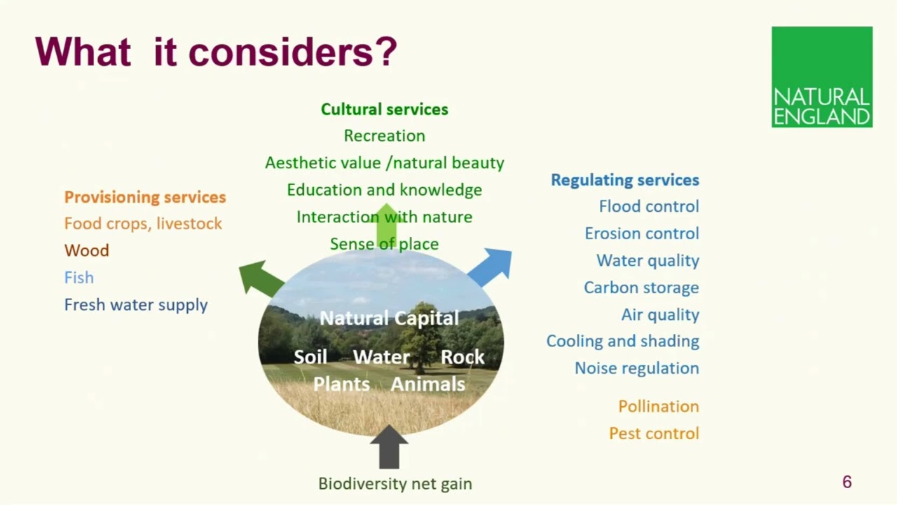 An Introduction to the Beta Environmental Benefits from Nature Tool  - Natural England 020925