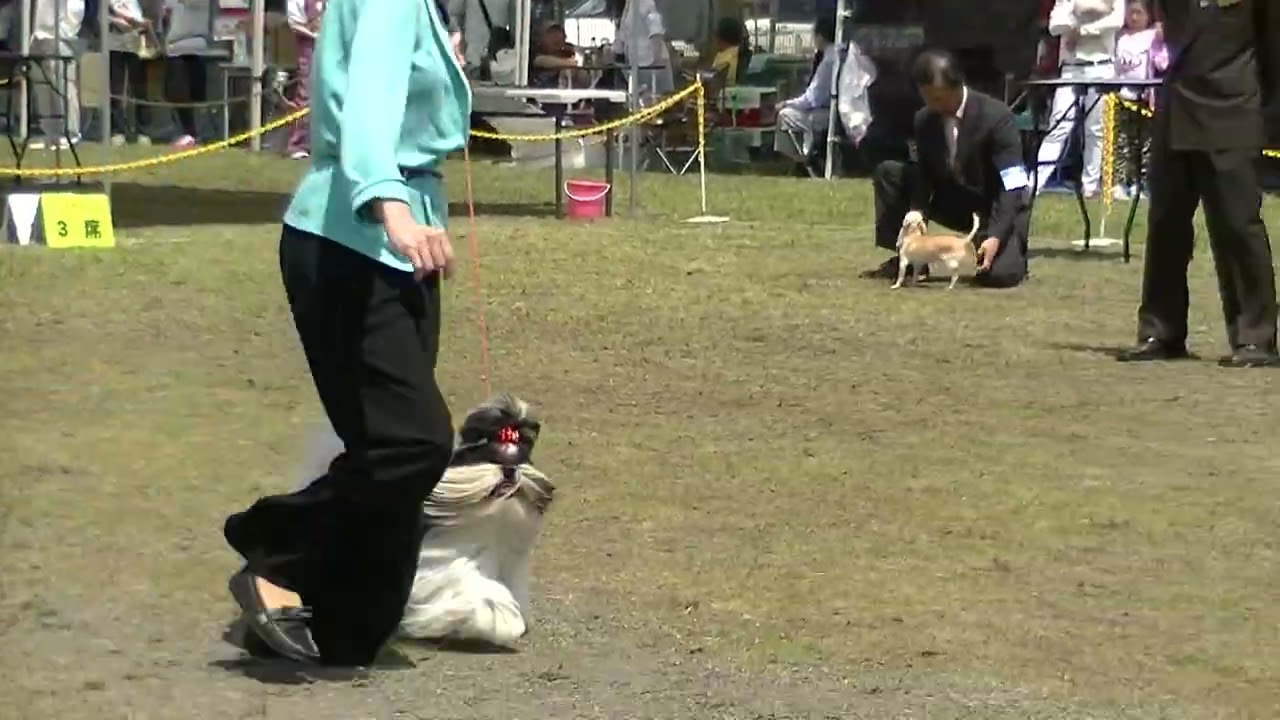 2015SORAグループ戦③