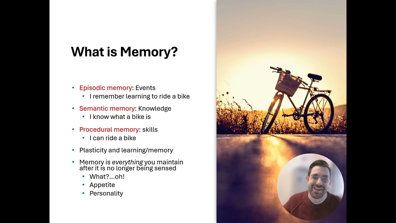 Chapter 11 Part 1: Memory Overview