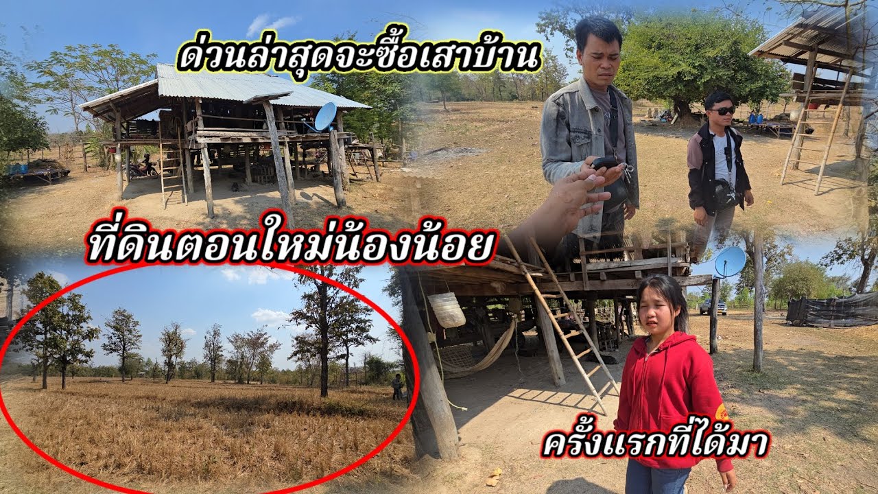 ด่วนล่าสุด มาดูที่ดินน้องน้อย ข่าวดีจะได้เสาบ้านใหม่7 กุมภาพันธ์ ค.ศ. 2026