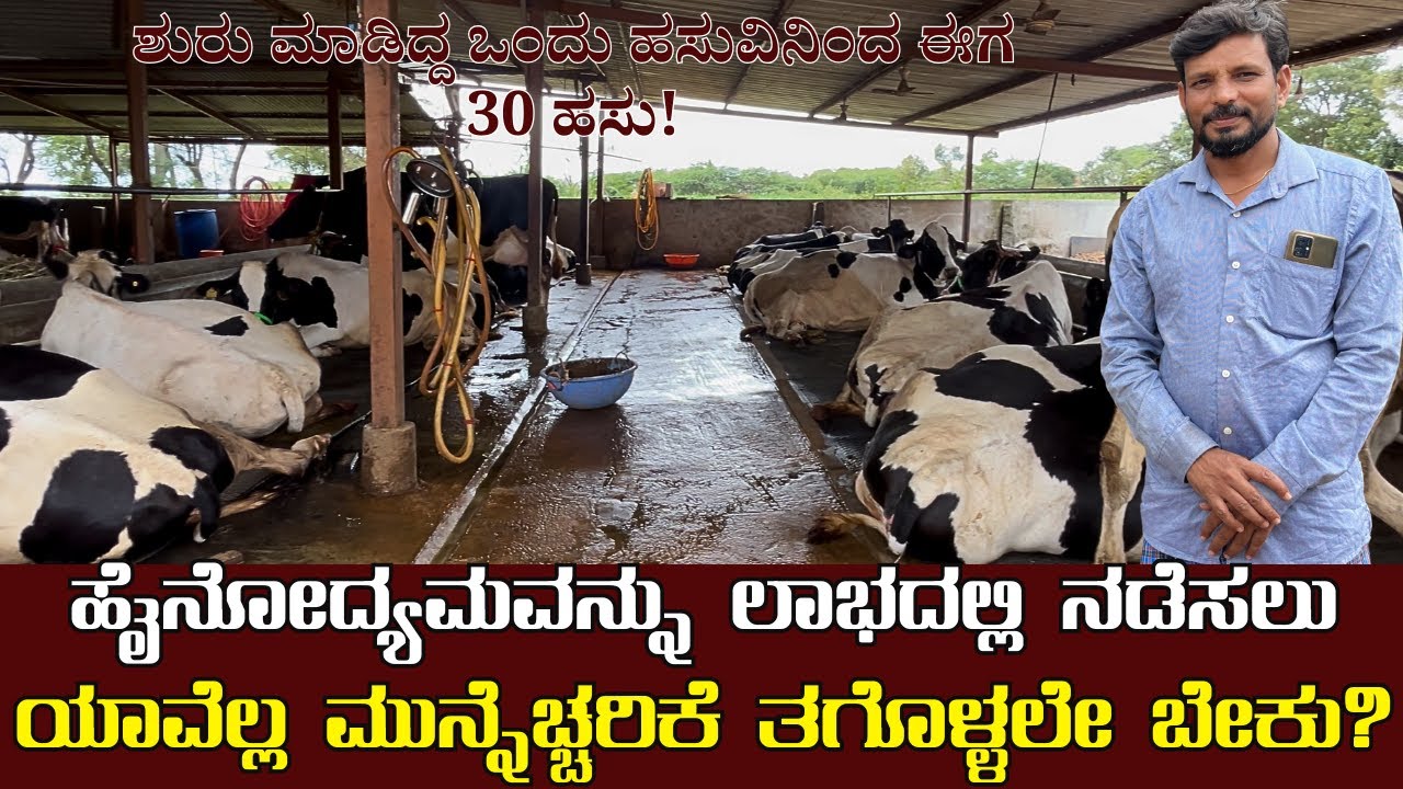 1 ಆಕಳಿಂದ 30 ಹಸು ಆಗಿದೆ ಹಸು ಸಾಕಾಣಿಕೆಗೆ ಅನುಭವ ಮುಖ್ಯ|dairy farming in Kannada 