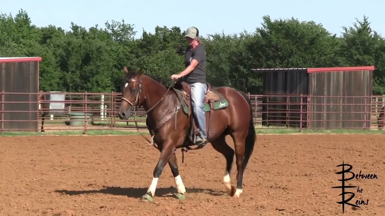 Rate Drill for Free Running and Bracey Barrel Horses