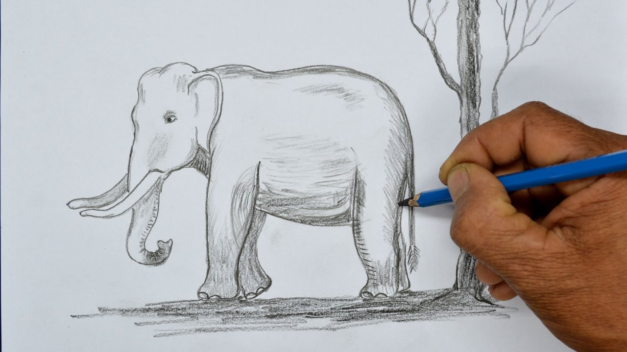 How to Draw an Elephant