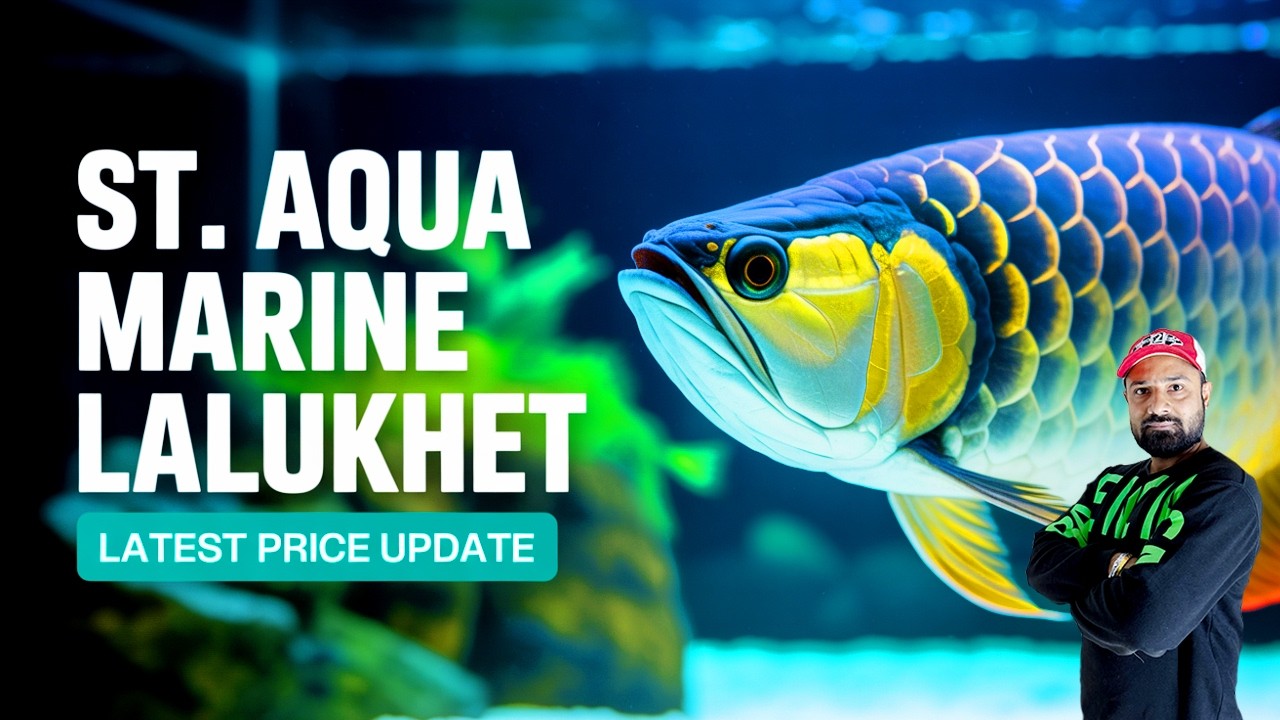 ST Aqua Lalukhet Shop Tour 2026 🔥 | Thailand Planted Fish Shipment Latest Price Update Karachi