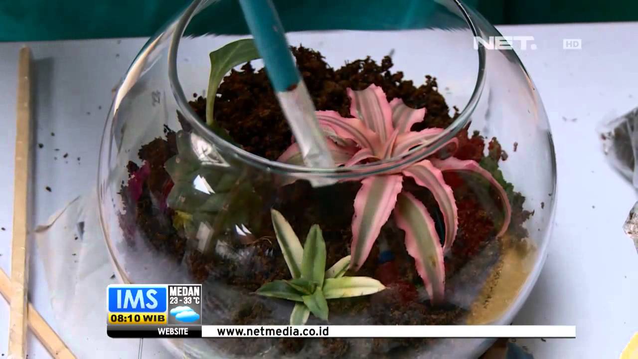 IMS - Terrarium Miniatur Taman Dalam Wadah Bening