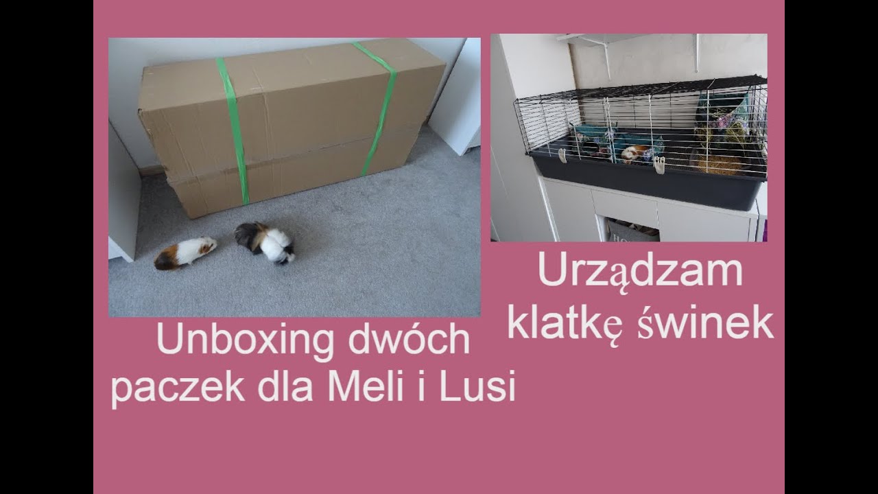 Unboxing nowej klatki dla świnek 120 cm z ferplast 🐷🐷