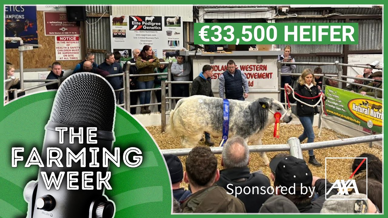 Nitrates Derogation | Scheme Payments Latest  | The €33,500 Heifer