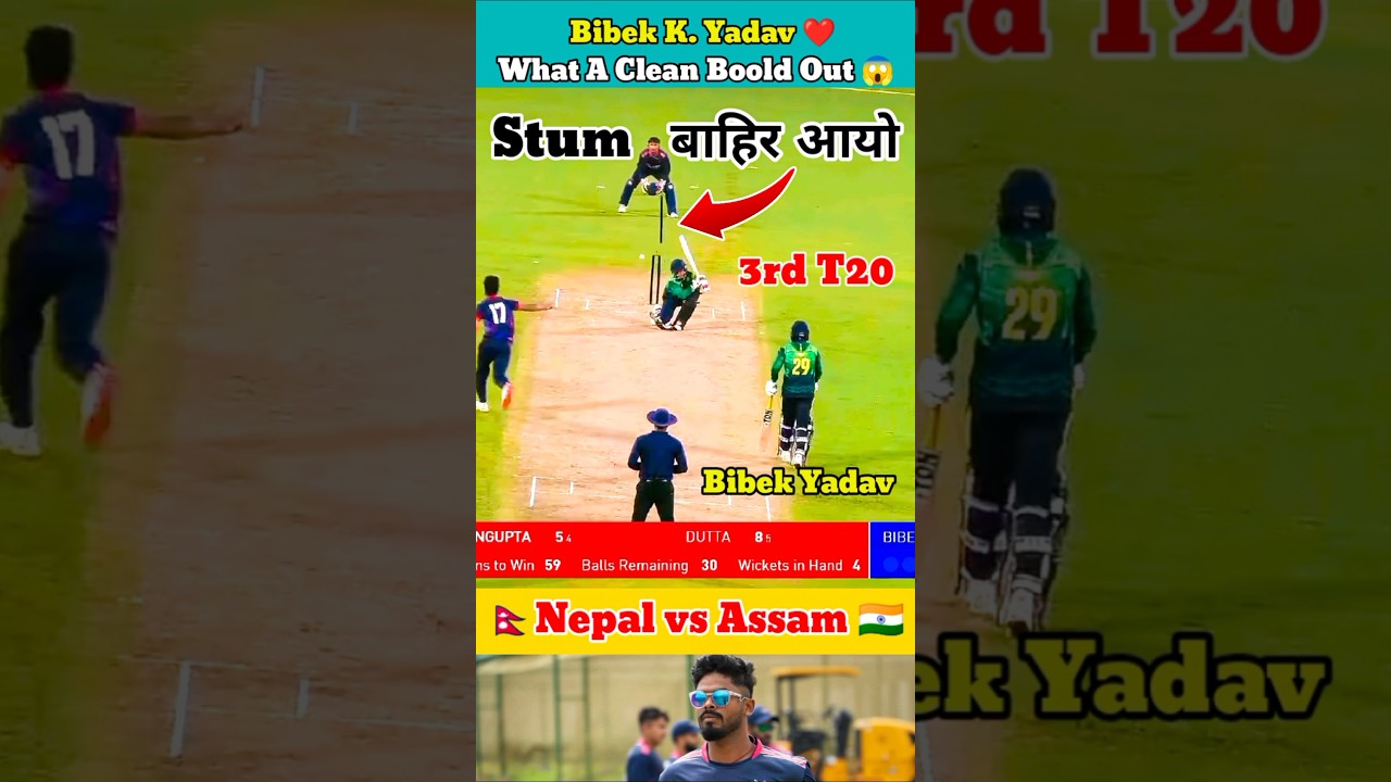 Stum बाहिर आयो 🤣 Bibek Yadav ❤️ 🇳🇵 Nepal Vs Assam 🇮🇳 #npl #cricket #nepalicricket #shorts