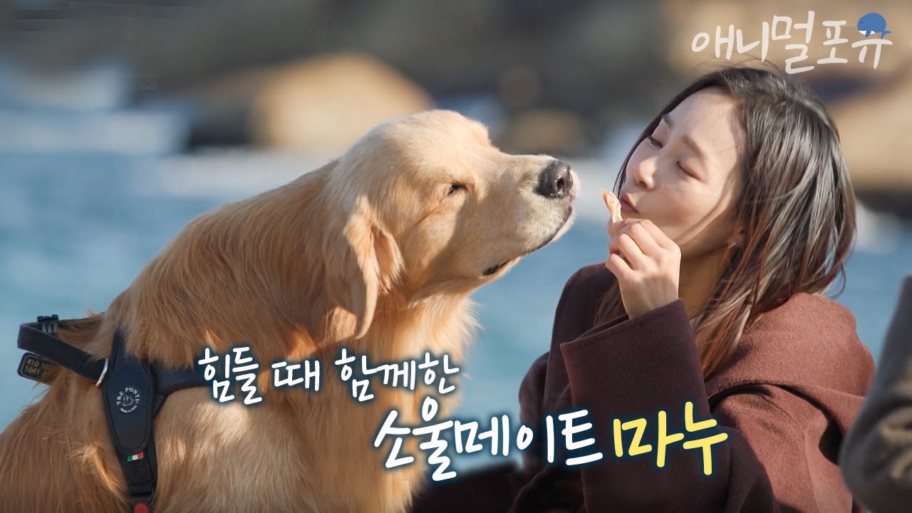 배우 문정희 반려견 마누에 대한 숨겨왔던 속마음이 있다?! l KBS 한 번쯤 멈출 수밖에 220113 방송