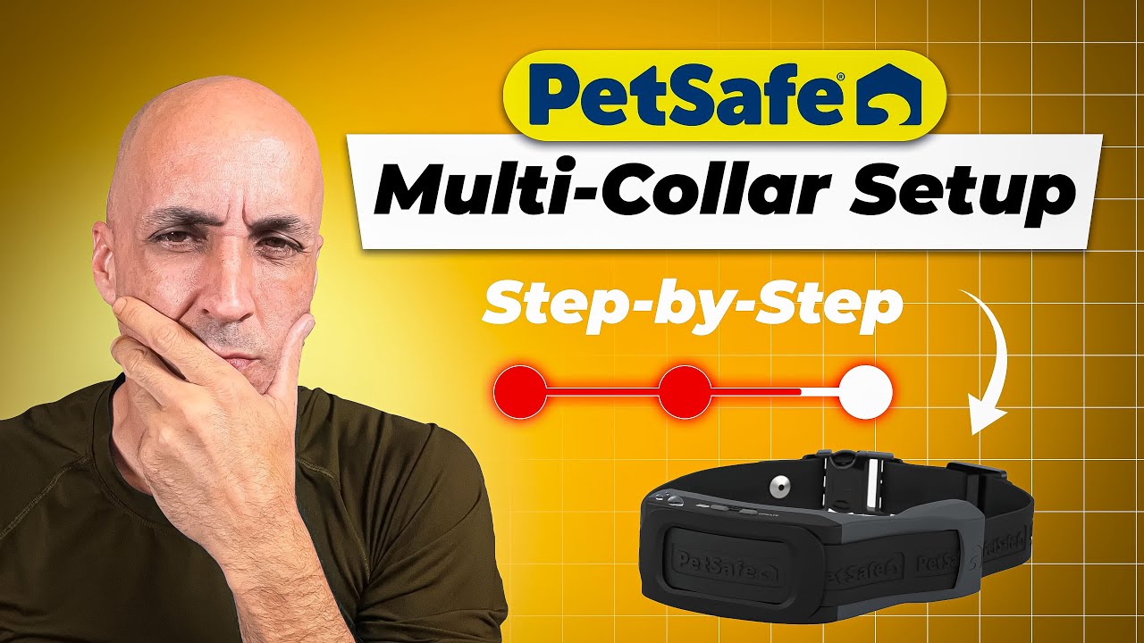 Настройка многоошейника PetSafe Guardian GPS | Все, что вам нужно знать!