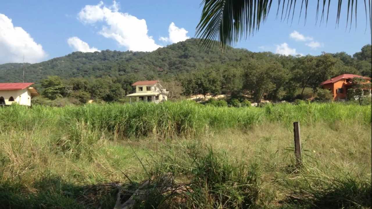 Eco Village 